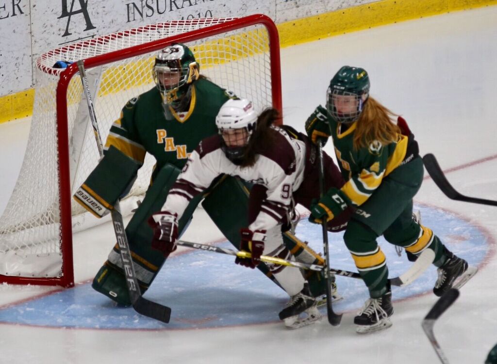 QF 3 2017 U SPORTS Women’s Hockey Championship: Alberta defeats Saint Mary's 2-1
