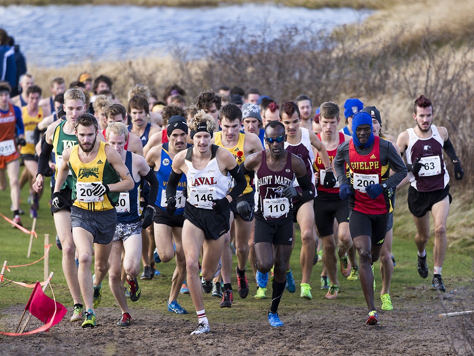 PREVIEW 2015 CIS cross-country championships: Guelph looking for remarkable 10th consecutive banner sweep