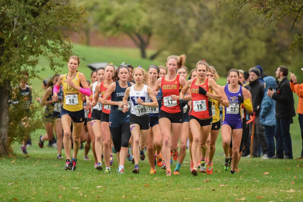 2016 CIS cross-country championships Guelph looking to reclaim banner sweep on the Plains of Abraham