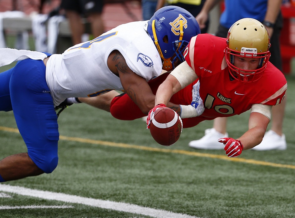 Exhibition football: UBC beats Laval in Blake Nill's debut with the Blue and Gold