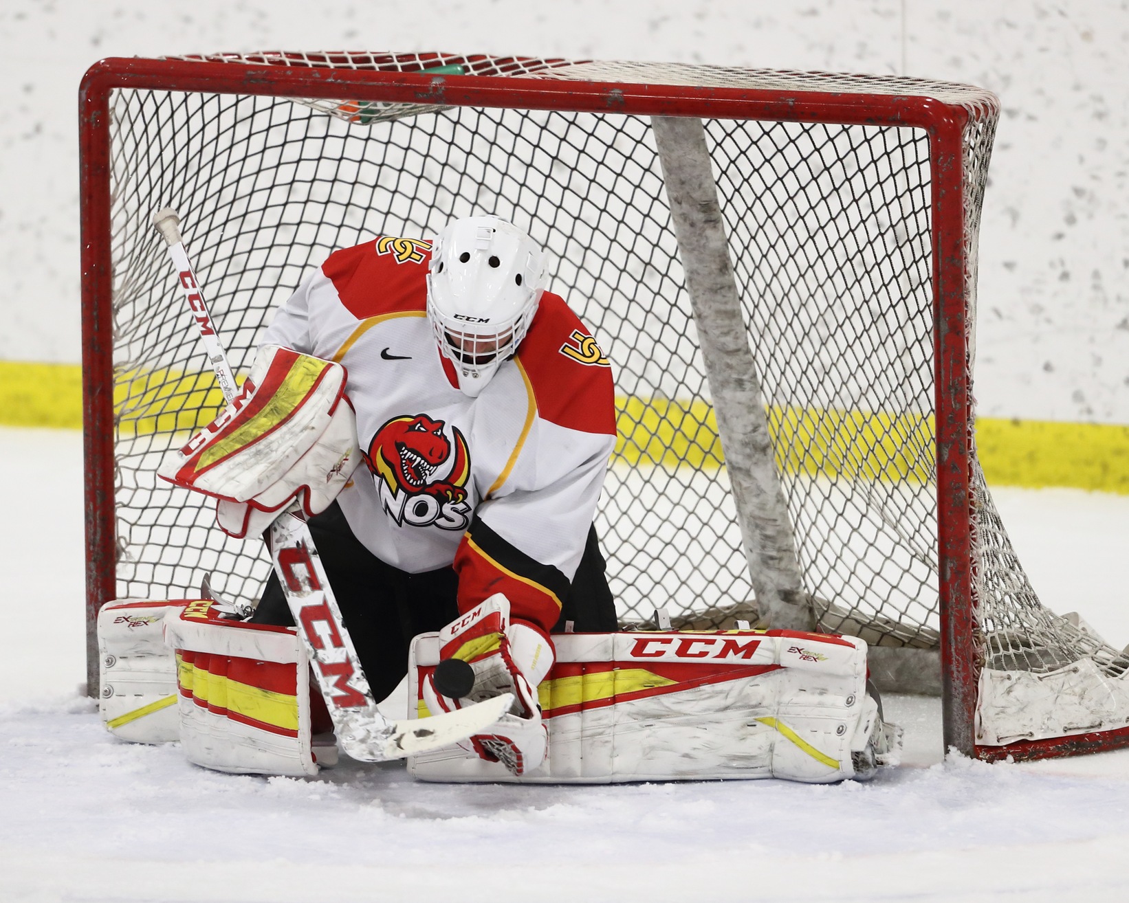 The Sunshine State is not necessarily a hotbed for hockey in North America, but it is where rookie goalie Matthew Greenfield of the Calgary Dinos calls home.