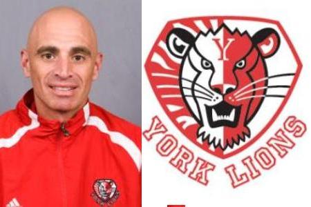 Oliveri named York head coach